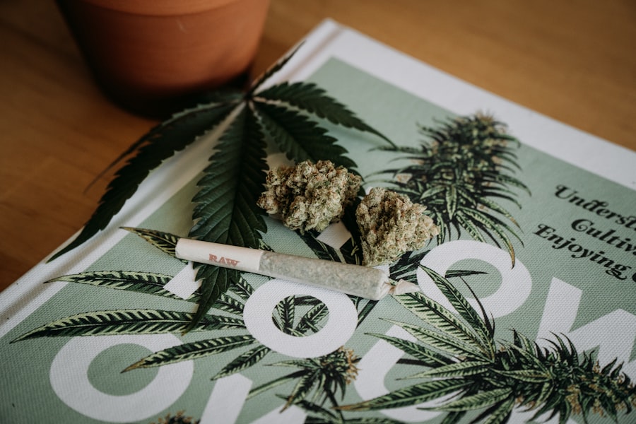 Korzystne właściwości konopi: co warto wiedzieć 2 cannabis